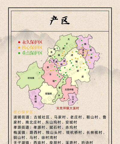 喝安吉白茶的九大功效 喝安吉白茶的九大功效