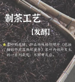 什么是发酵茶 什么是发酵茶