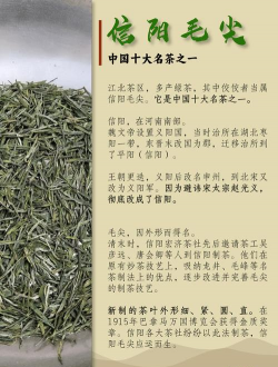 信阳毛尖茶的功效与作用 信阳毛尖茶的功效与作用