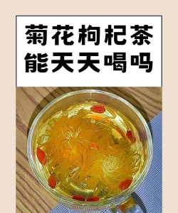 菊花茶过夜能再喝吗 菊花茶过夜能再喝吗