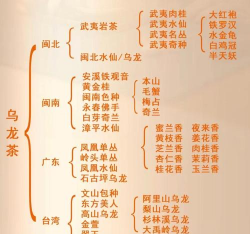 半发酵茶有哪几种 半发酵茶有哪几种