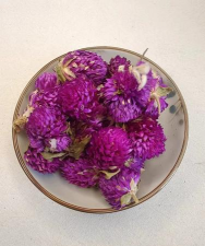 千日红花茶的功效与作用及禁忌 千日红花茶的功效与作用及禁忌