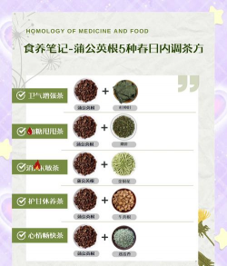 蒲公英根泡水喝的功效与禁忌 蒲公英根泡水喝的功效与禁忌