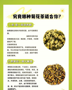 野菊花茶的功效与作用 野菊花茶的功效与作用