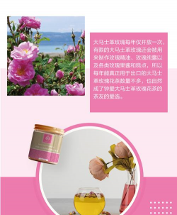 大马士革玫瑰花茶功效 大马士革玫瑰花茶功效