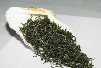 西山茶是什么茶 西山茶是什么茶