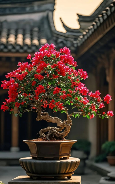 盆景的花有哪些 盆景的花有哪些