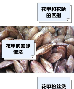 花甲的养殖方法和注意事项 花甲的养殖方法和注意事项