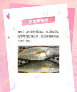 黄鱼价格多少钱一斤 黄鱼价格多少钱一斤