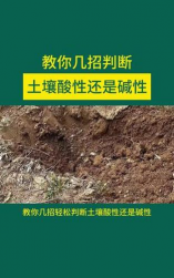 酸性土壤怎么识别 酸性土壤怎么识别