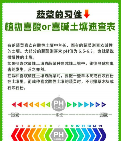 酸性土壤适合种什么蔬菜 酸性土壤适合种什么蔬菜