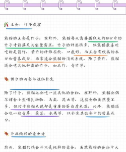 大熊猫吃什么 大熊猫吃什么