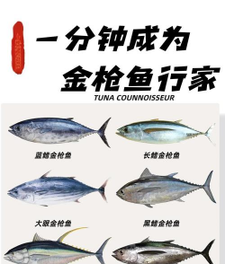 金枪鱼多少钱一斤 金枪鱼多少钱一斤