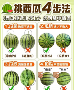 西瓜多少钱一斤 西瓜多少钱一斤