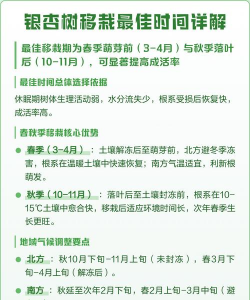 树木移植的最佳时间 树木移植的最佳时间