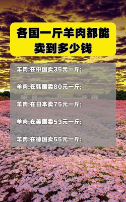 2024年羊肉多少钱一斤 2024年羊肉多少钱一斤