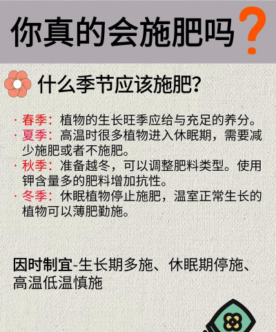 花肥怎么施更有效果 花肥怎么施更有效果