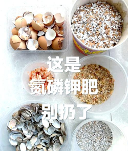 农村有机肥的制作方法 农村有机肥的制作方法