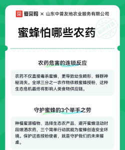 蜜蜂最怕什么农药 蜜蜂最怕什么农药