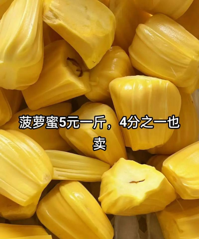 2024年菠萝蜜多少钱一斤 2024年菠萝蜜多少钱一斤