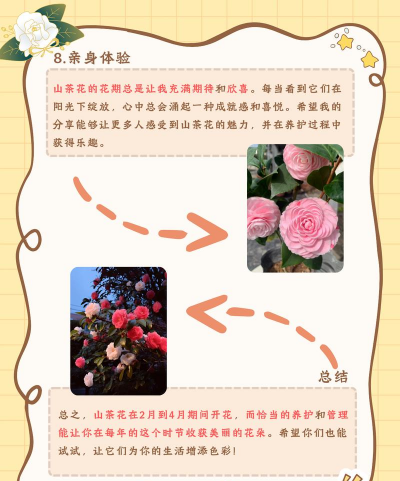 山茶花是什么季节开 山茶花是什么季节开