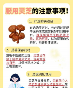 2024年人工灵芝多少钱一斤 2024年人工灵芝多少钱一斤