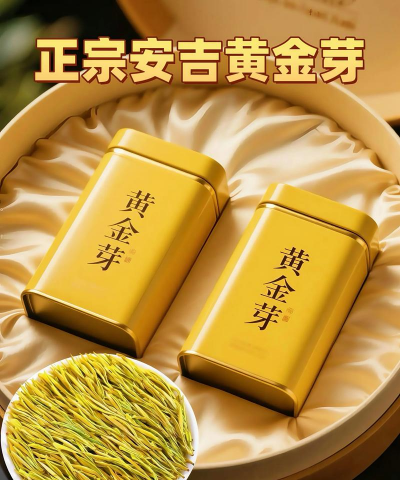 2024年黄金芽茶叶多少钱一斤 2024年黄金芽茶叶多少钱一斤