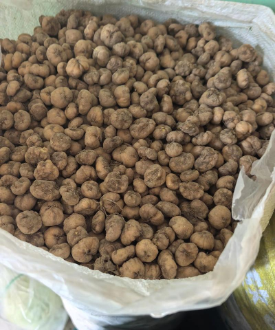 2024年元胡种子多少钱一斤 2024年元胡种子多少钱一斤