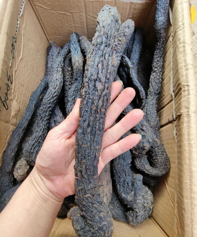 2024年草苁蓉多少钱一斤 2024年草苁蓉多少钱一斤