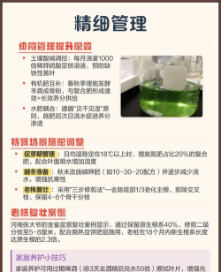 铁树需施什么肥好 铁树需施什么肥好