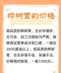 2024年桦树茸多少钱一斤 2024年桦树茸多少钱一斤