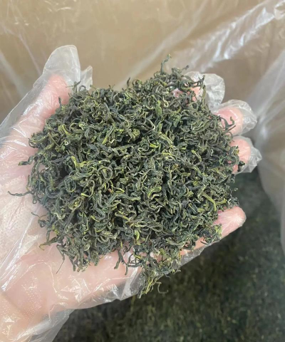 2024年崂山绿茶多少钱一斤 2024年崂山绿茶多少钱一斤