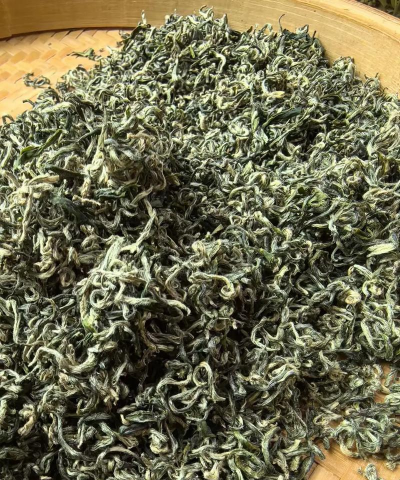 2024年都匀毛尖茶多少钱一斤 2024年都匀毛尖茶多少钱一斤