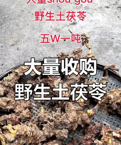 2024年土茯苓多少钱一斤 2024年土茯苓多少钱一斤