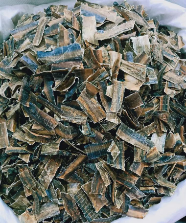 2024年蚯蚓干多少钱一斤 2024年蚯蚓干多少钱一斤