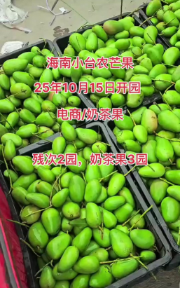 冬天有芒果吗 冬天有芒果吗