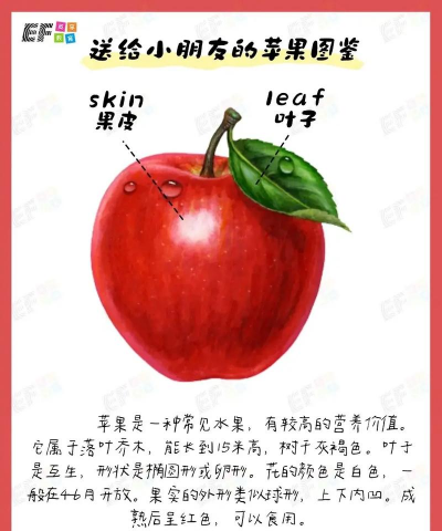 苹果的生长的习性有哪些 苹果的生长的习性有哪些