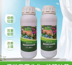 观叶植物上什么肥料 观叶植物上什么肥料