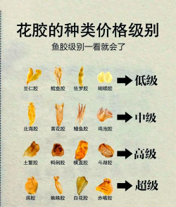 2024年花胶多少钱一斤 2024年花胶多少钱一斤