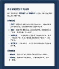 酵母菌的生殖方式 酵母菌的生殖方式