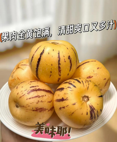 2024年人参果多少钱一斤 2024年人参果多少钱一斤