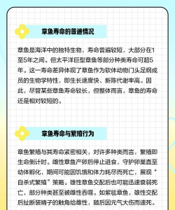 章鱼的寿命是多久 章鱼的寿命是多久