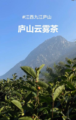 江西庐山产什么茶 江西庐山产什么茶