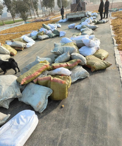 2024年鸡内金多少钱一斤 2024年鸡内金多少钱一斤