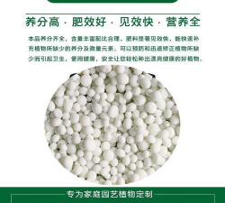 散尾葵施什么肥长得旺盛 散尾葵施什么肥长得旺盛