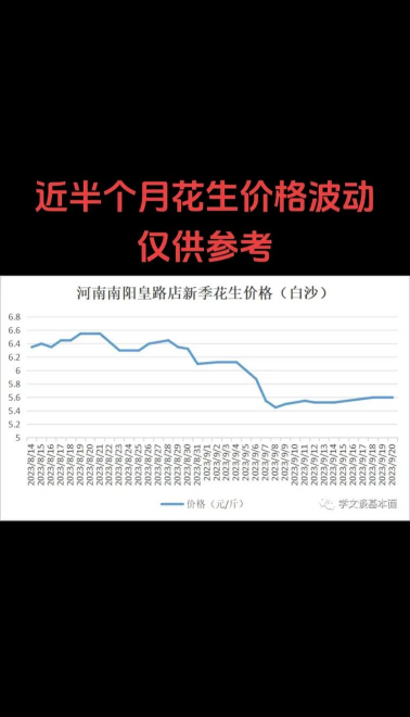 2024年花生多少钱一斤 2024年花生多少钱一斤