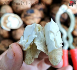 2024年嫩核桃多少钱一斤 2024年嫩核桃多少钱一斤