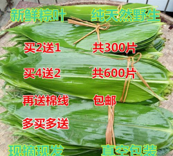 2024年粽叶多少钱一斤 2024年粽叶多少钱一斤