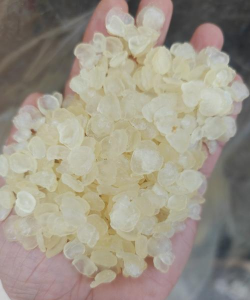 2024年皂角米多少钱一斤 2024年皂角米多少钱一斤