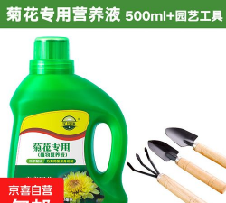 家庭种植菊花施什么肥 家庭种植菊花施什么肥